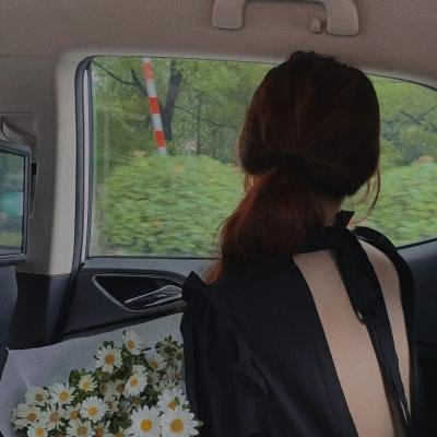 总统之路 在线播放